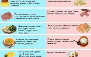 Диетические блюда для ЖКТ и печени — рецепты здорового питания