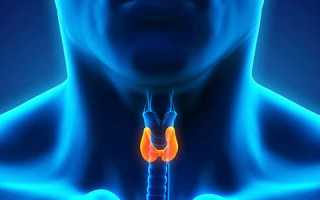Причины и симптомы уменьшения щитовидной железы