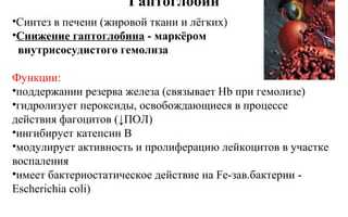 Пониженный гаптоглобин — причины и последствия