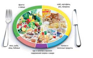 Диета Айрекоменд — Правильное питание для здоровья и стройности