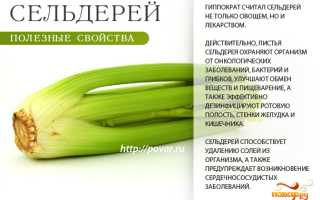 Сельдерей при подагре — можно ли употреблять?