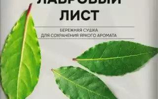 Лавровый лист — секреты полезных свойств