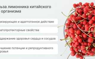 Лимонник китайский — польза и возможные риски