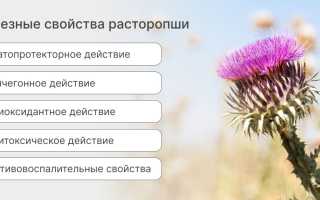 Полезные свойства травы расторопши