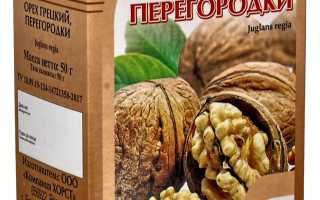 Грецкий орех — мощный источник здоровья для организма