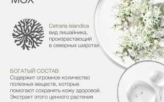 Исландский мох — многогранные возможности применения