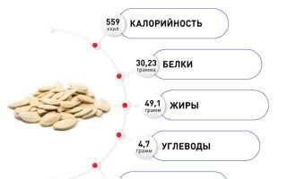 Химический состав семян тыквы — польза и составляющие