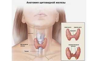 Может ли при заболеваниях щитовидки болеть горло во время глотания?