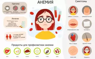 Анемия 2 степени — что это значит у взрослого