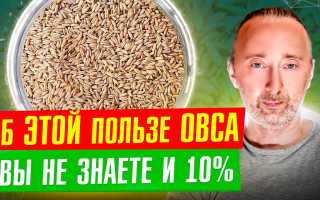 Польза заваренного овса для здоровья