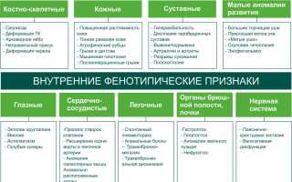 Питание при дисплазии соединительной ткани — основные принципы