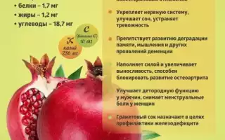 Гранат при похудении — польза и вред