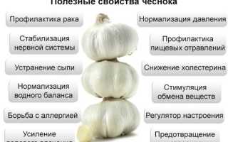 Йод в чесноке — польза и содержание
