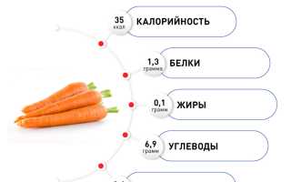 Состав и польза моркови для здоровья