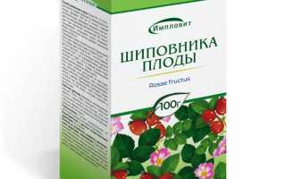 Шиповник — Лекарство из сада