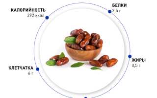 Польза сушеных фиников для здоровья