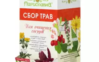 Травы для очистки сосудов — эффективные средства