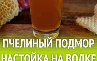 Пчелиный подмор на водке — домашний рецепт для женщин